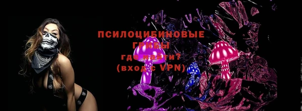 мяу мяу мука Белокуриха