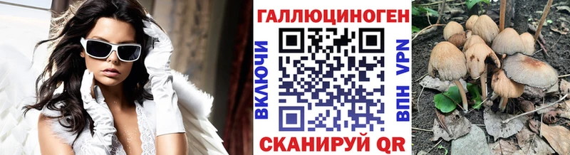 Псилоцибиновые грибы Psilocybe  OMG tor  Киселёвск  где купить  