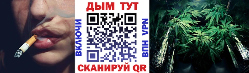 Бошки марихуана THC 21%  Киселёвск 